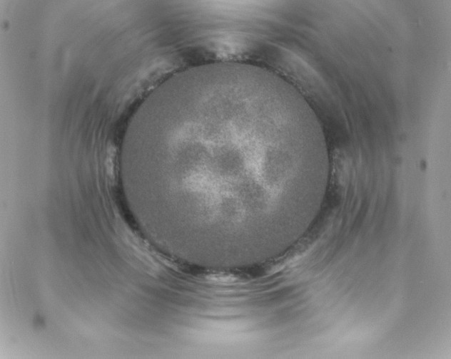 X0000088840650200706071421