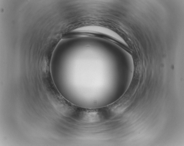 X0000088840651200706071421