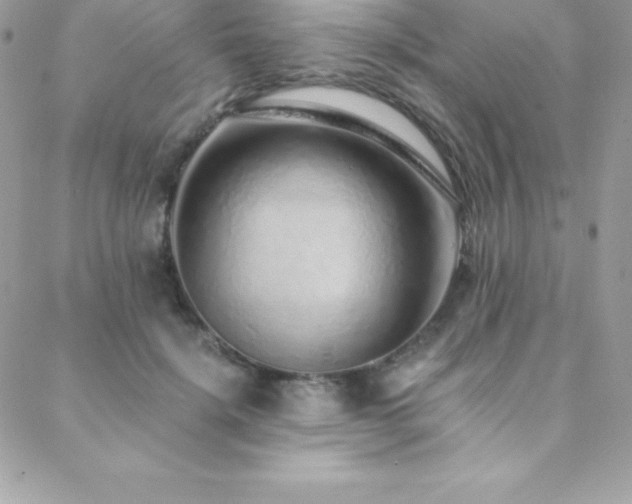 X0000088840652200706071421