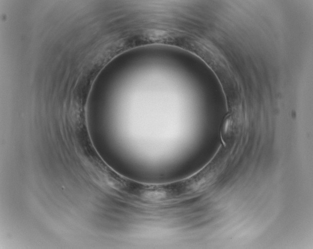 X0000088840653200706071421