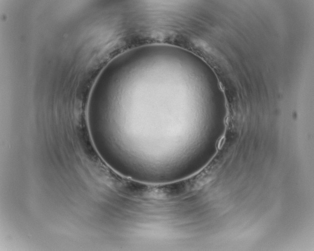 X0000088840656200706071421