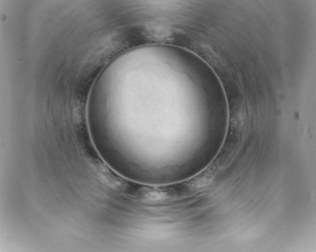 X0000088840658200706071421