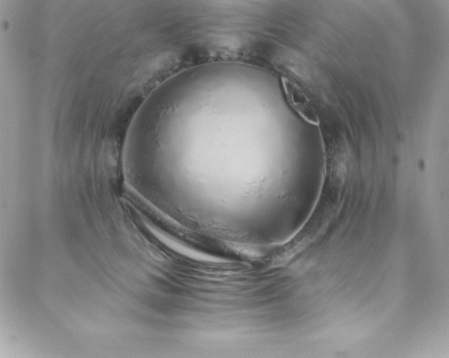 X0000088840661200706071421