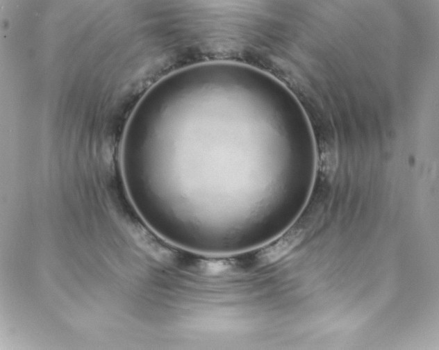 X0000088840662200706071421