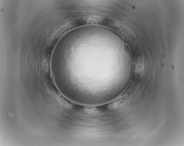 X0000088840666200706071421