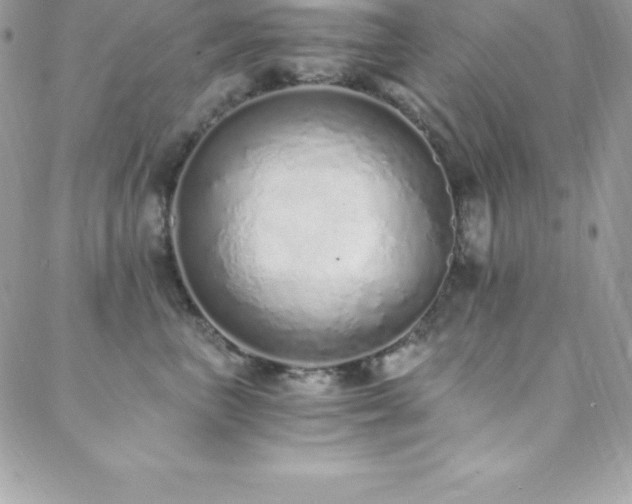 X0000088840667200706071421