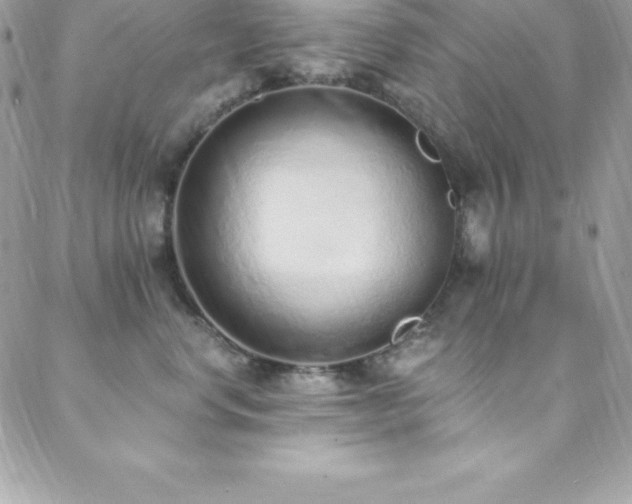 X0000088840668200706071421