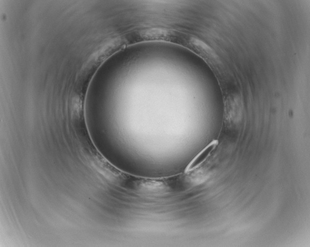 X0000088840669200706071421