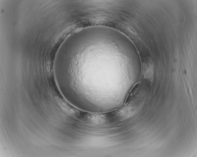 X0000088840670200706071421