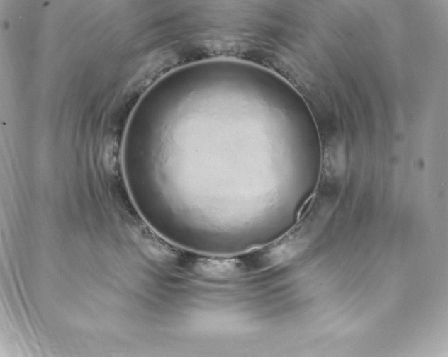 X0000088840671200706071421