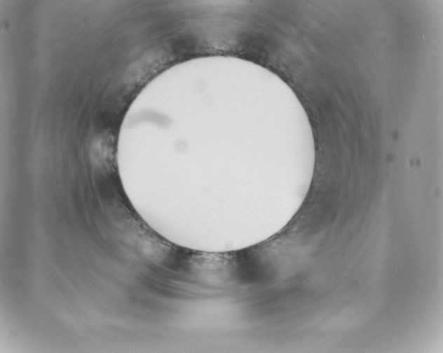 X0000088840672200706071421