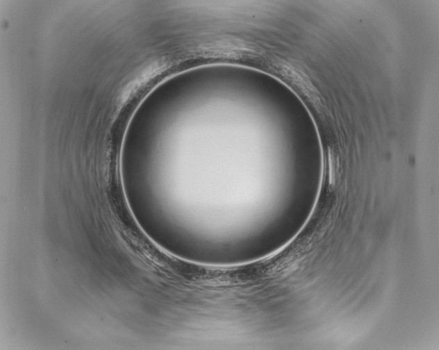 X0000088840675200706071421