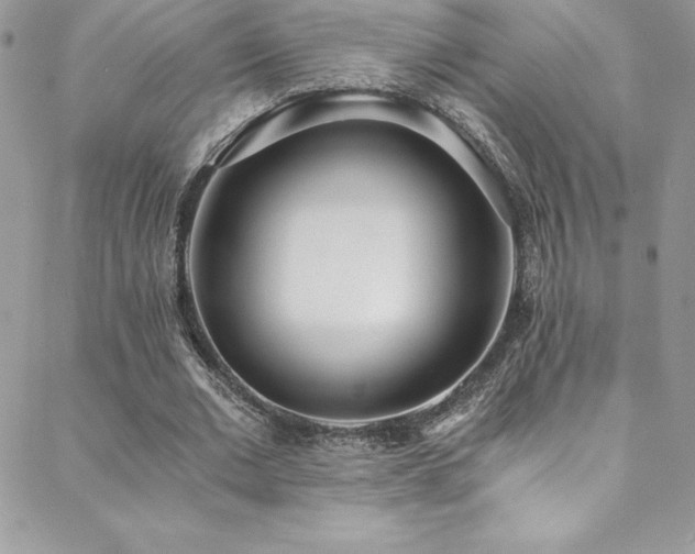 X0000088840677200706071421