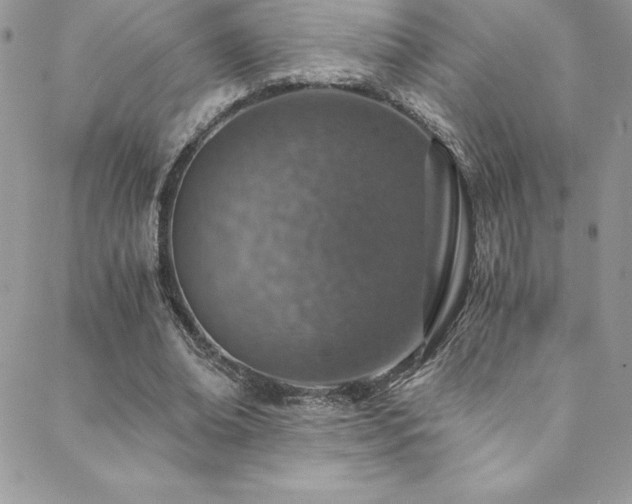 X0000088840678200706071421