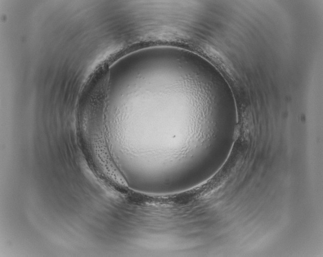 X0000088840680200706071421