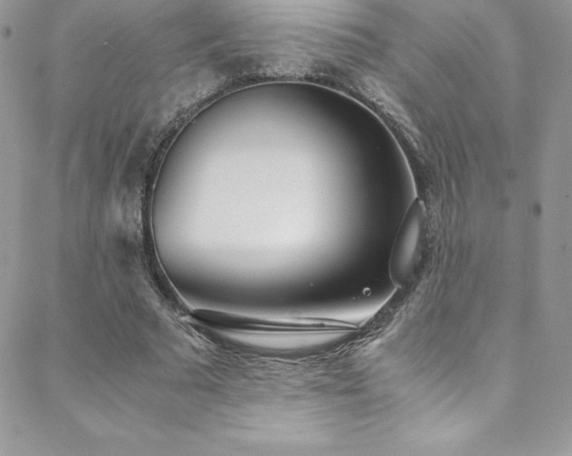 X0000088840681200706071420