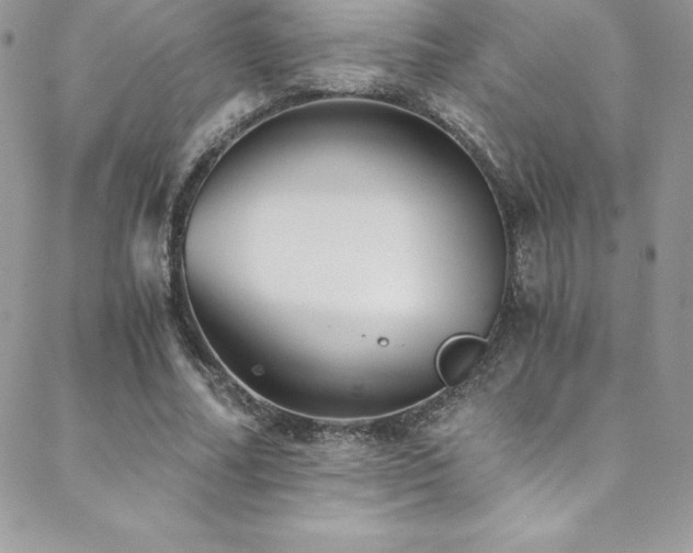 X0000088840682200706071420