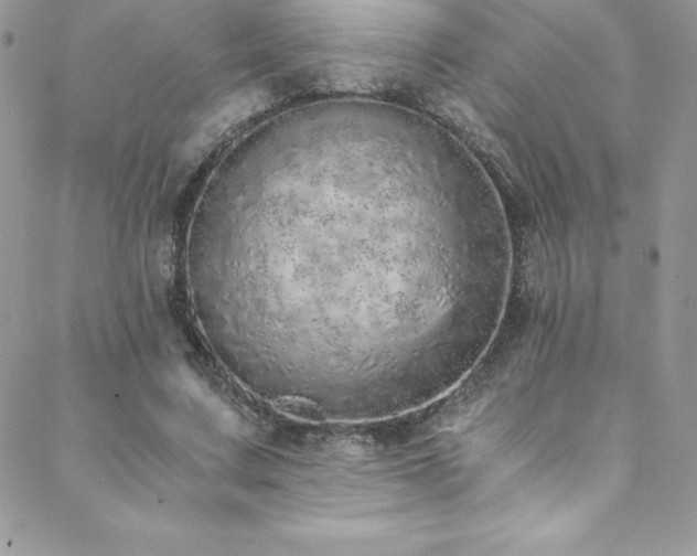 X0000088840683200706071420