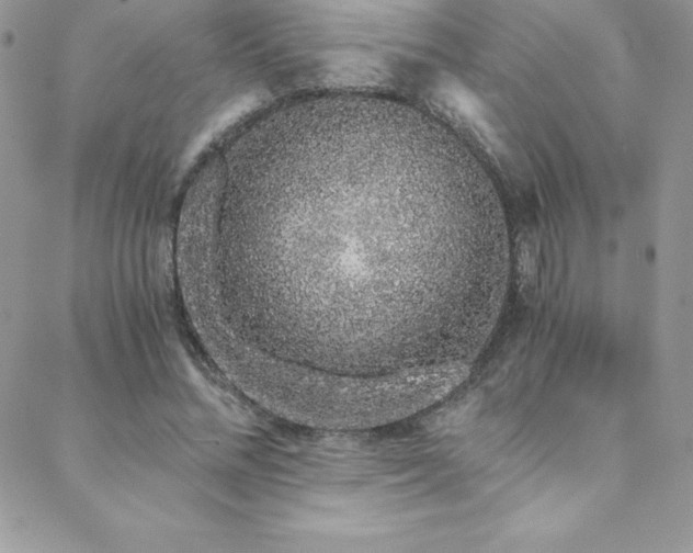 X0000088840684200706071420