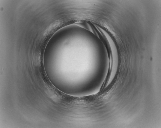 X0000088840685200706071420