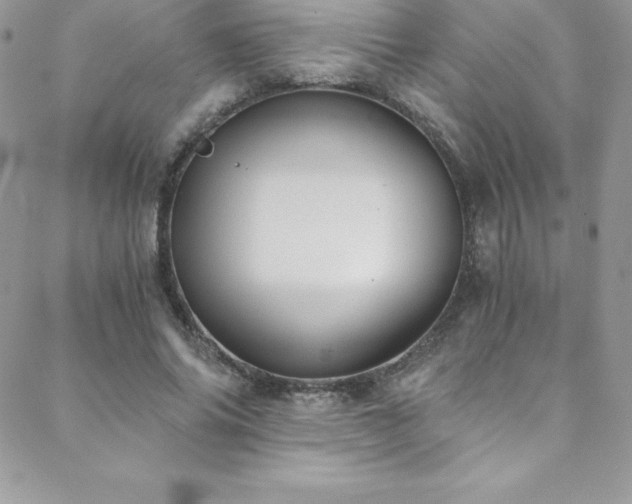 X0000088840686200706071420