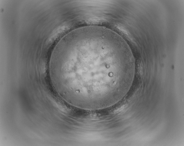 X0000088840687200706071420