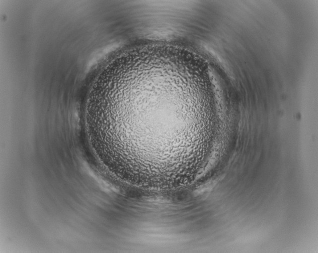 X0000088840688200706071420