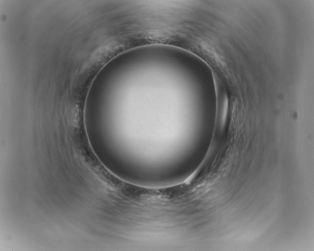 X0000088840689200706071420