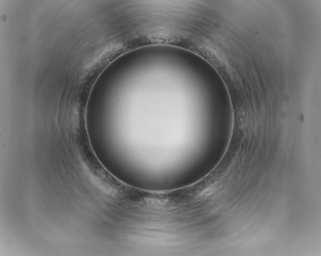 X0000088840690200706071420