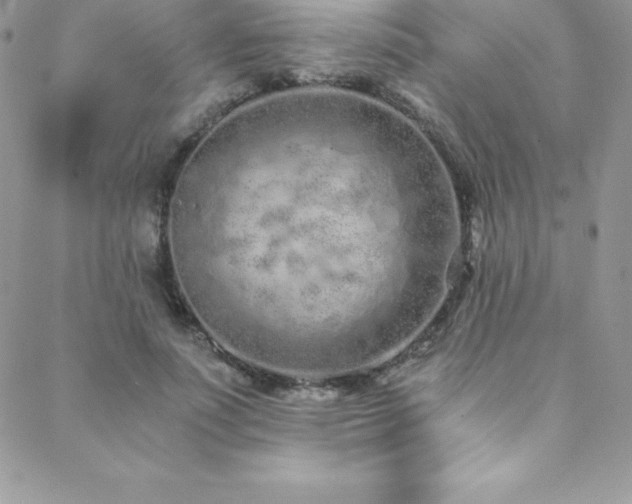 X0000088840691200706071420