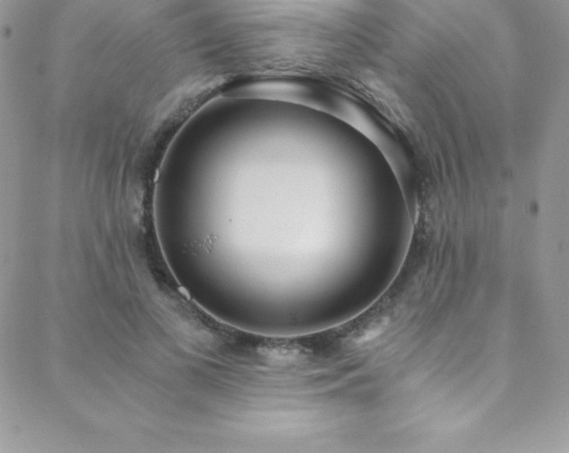 X0000088840693200706071420