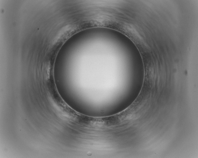 X0000088840694200706071420