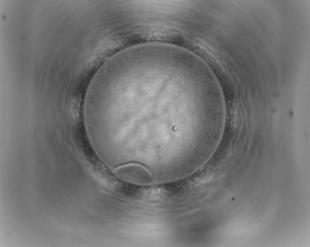 X0000088840695200706071420