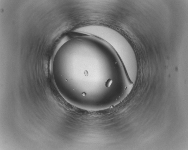 X0000088840696200706071420