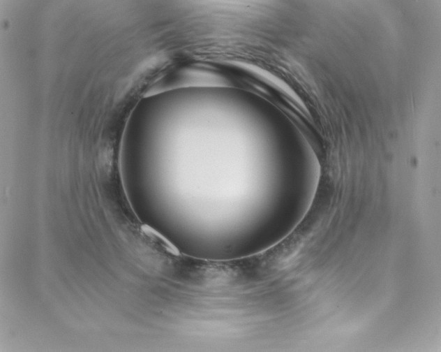 X0000088840697200706071420