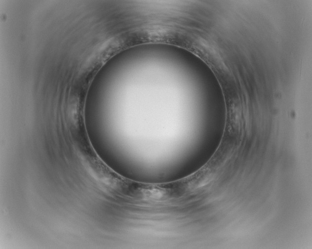 X0000088840698200706071420