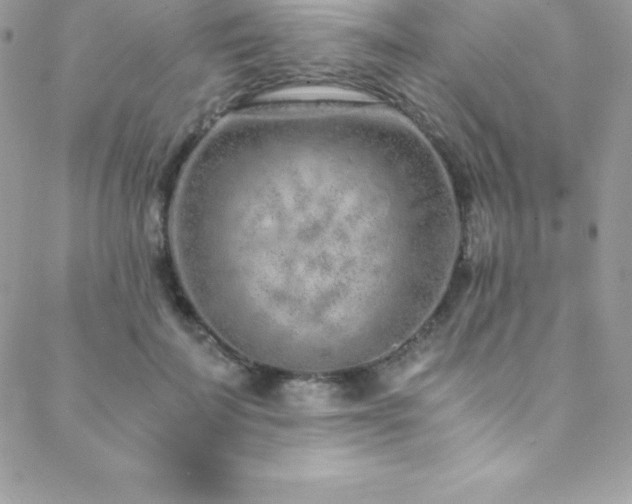 X0000088840699200706071420