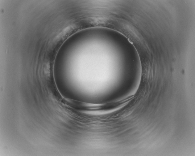 X0000088840700200706071420