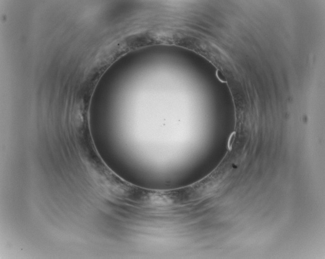 X0000088840702200706071420