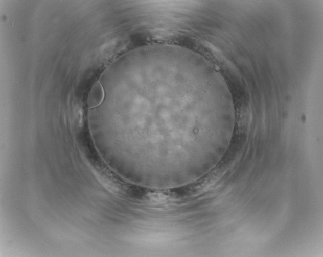 X0000088840703200706071420