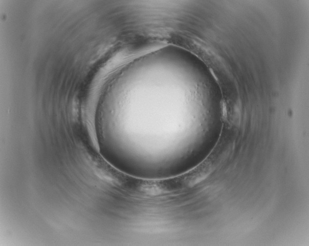 X0000088840704200706071420