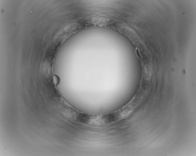 X0000088840705200706071420