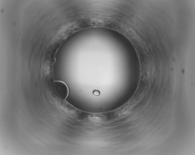 X0000088840706200706071420