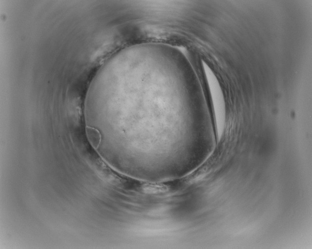 X0000088840707200706071420