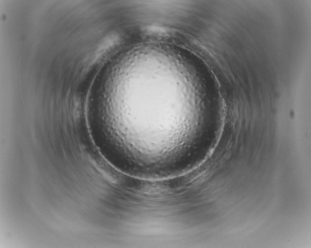 X0000088840708200706071420