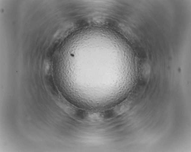 X0000088840709200706071420