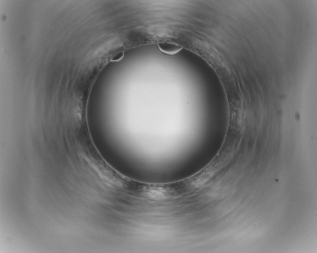 X0000088840710200706071420