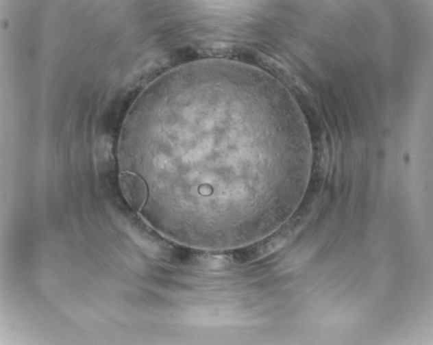 X0000088840711200706071420