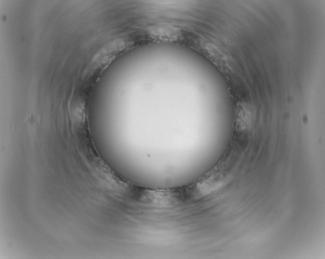 X0000088840713200706071420