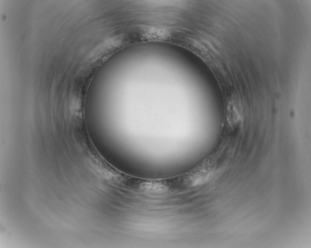 X0000088840714200706071420